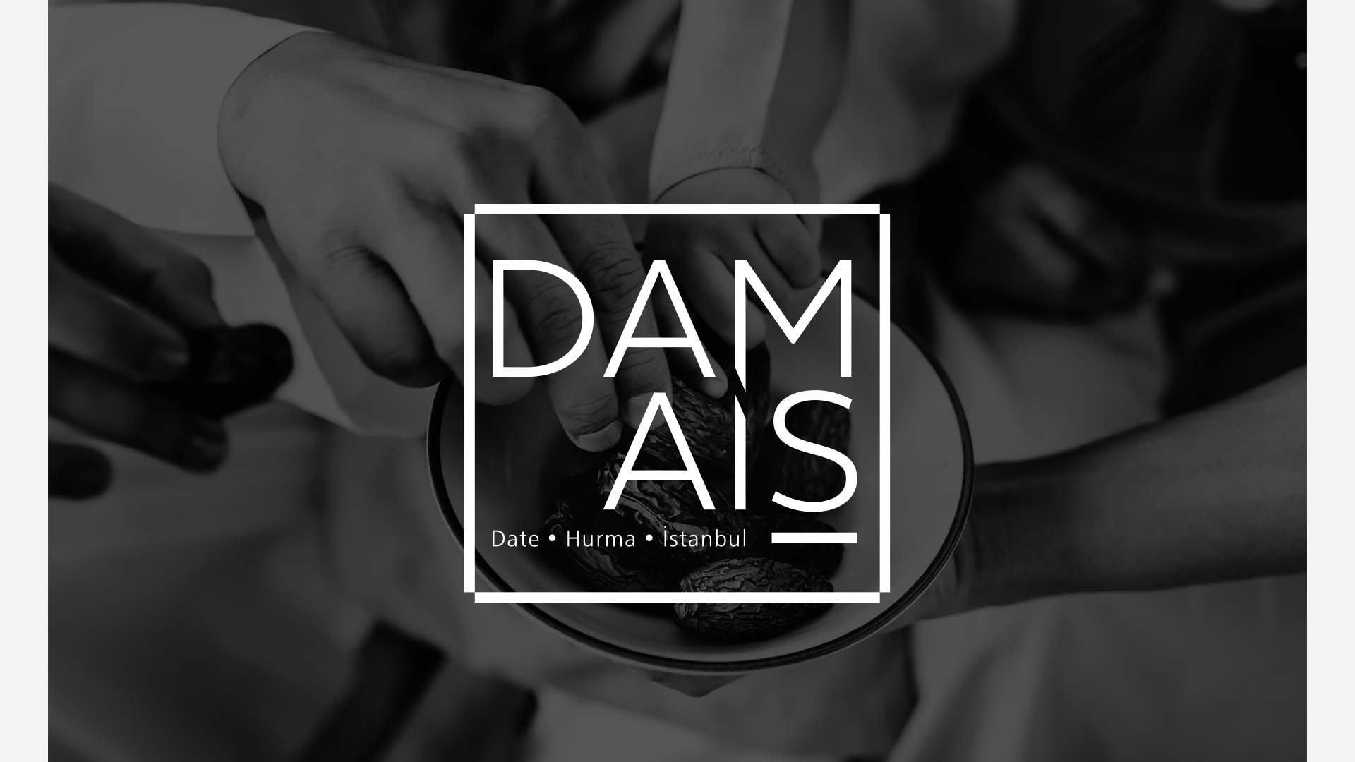 Damais-Logo-Tasarimi-6